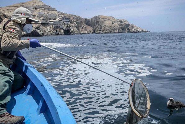 Perú denuncia ante la OEA a Repsol por daño causado por derrame petrolero