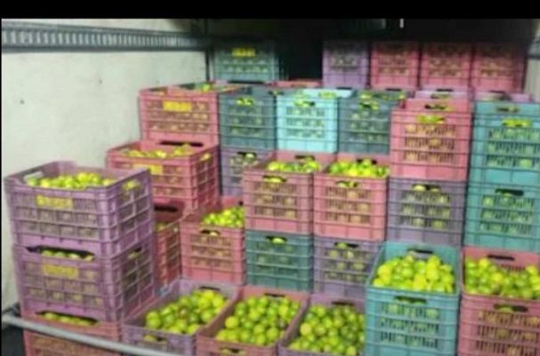 Caen tres sujeto por robar contenedores con limones en Central de Abasto