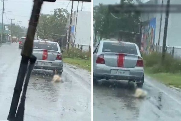 Perrito es atado a auto y arrastrado por calles de Tabasco #VIDEO