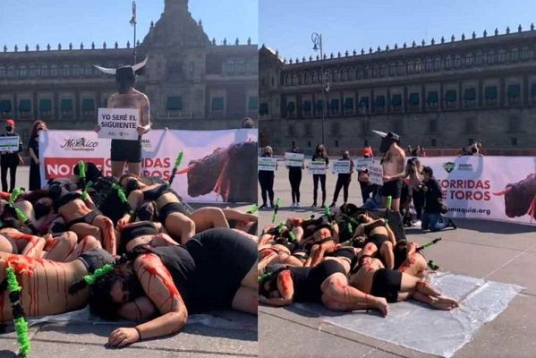 Activistas protestaron en el Zócalo en contra de las corridas de toros #VIDEO
