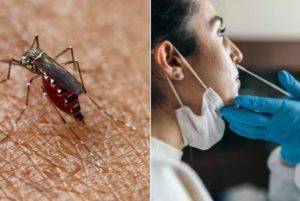 Reportan caso de infección simultánea de dengue y Covid en Argentina