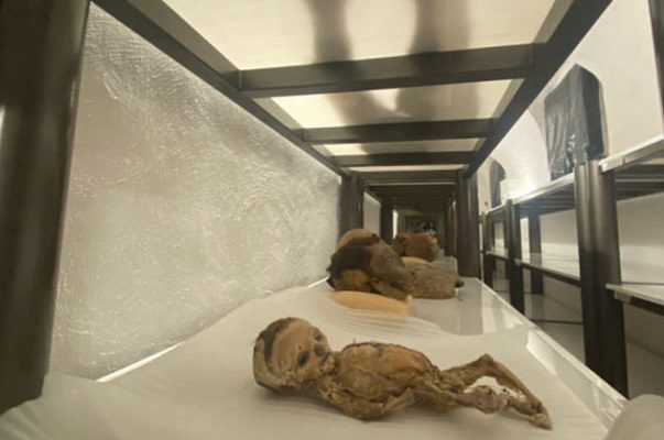 INAH crea Comisión ante falta de cuidado a las momias de Guanajuato