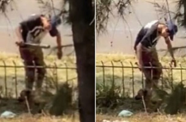 Exhiben a hombre golpeando a perrito con un bate en la GAM #VIDEO