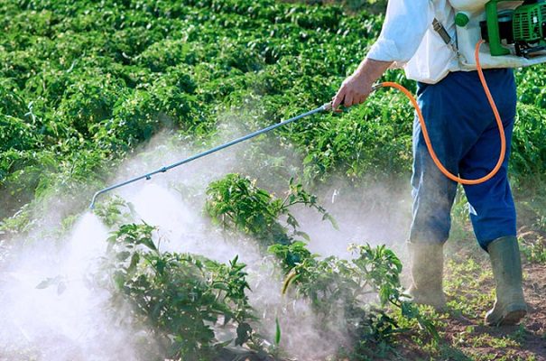 Diputados aprueban prohibición de uso de plaguicidas peligrosos en México