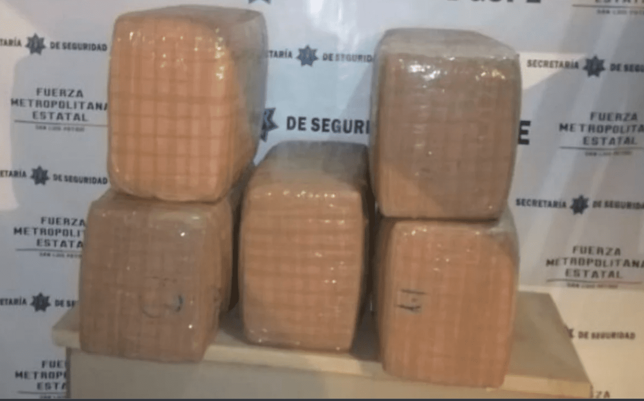 Decomisan 50 kilos de marihuana en San Luis Potosí