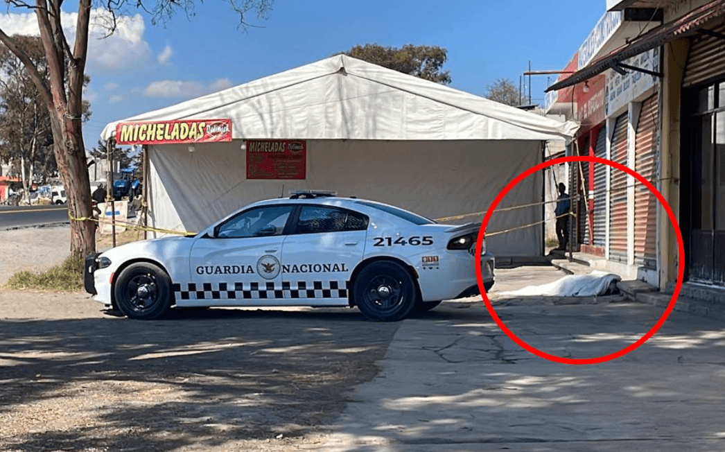 Perros atacan y asesinan a hombre de 48 años en EDOMEX