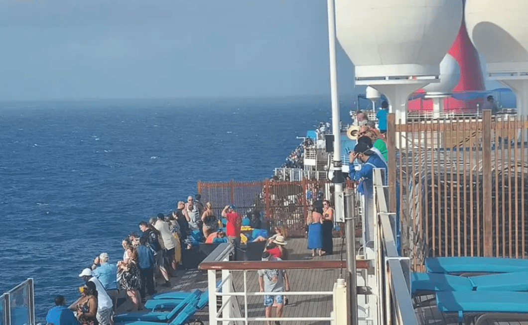 #VIDEO Mujer salta por la borda de un crucero y desaparece en el Golfo de México
