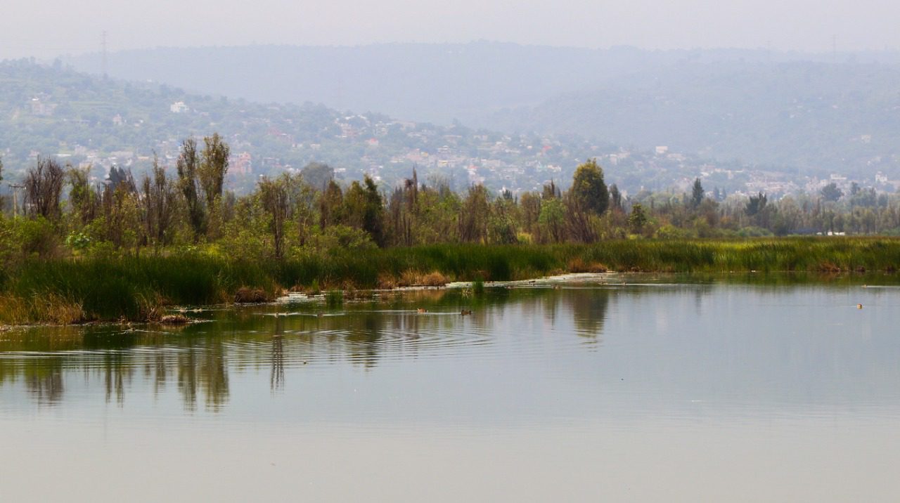 Humedales de la CDMX