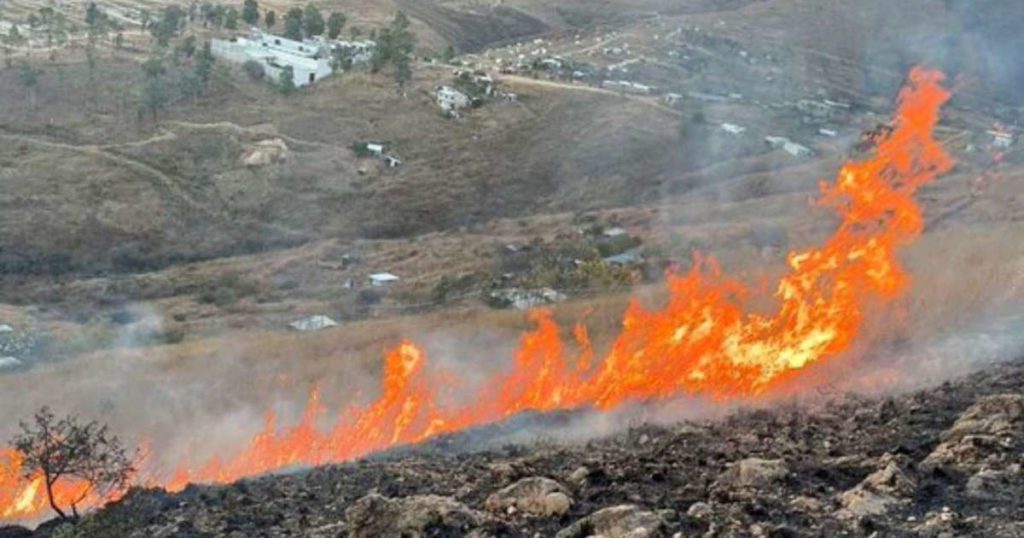 Incendio forestal en Monte Albán