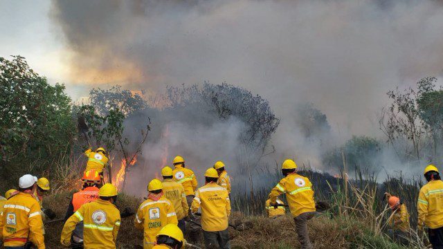 Incendios forestales