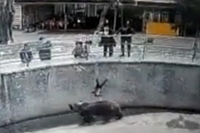 Madre lanza a su hija a la jaula de los osos en un zoológico