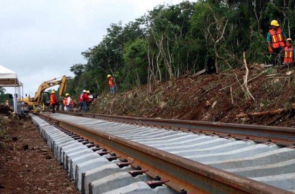 48 organizaciones y 36 activistas piden a AMLO detener las obras de Tren Maya