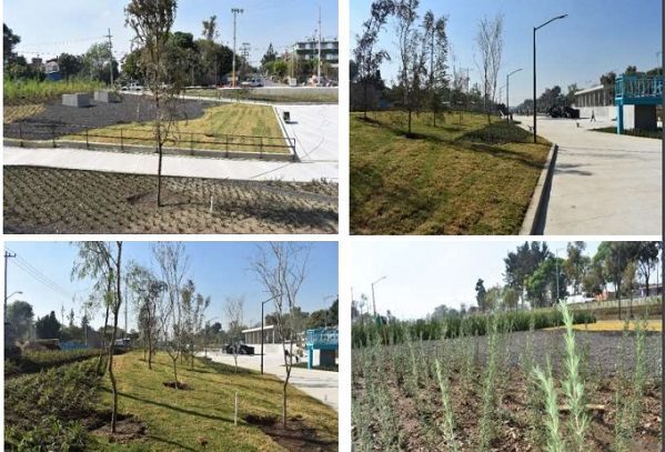 Parque Lineal Gran Canal de CDMX es nominado al premio Mies Crown Hall America