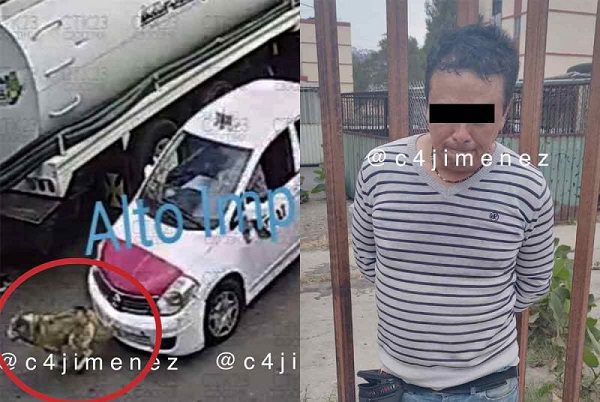 Previo a ser abatido, ladrón y cómplice arrollaron a perrito en Iztapalapa