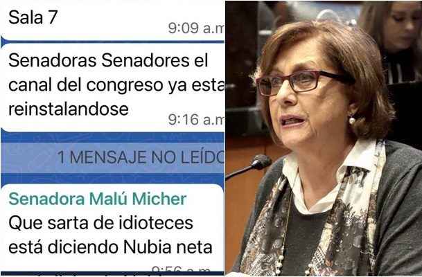 Acusan a senadora de Morena de violencia política de género tras filtrar chat