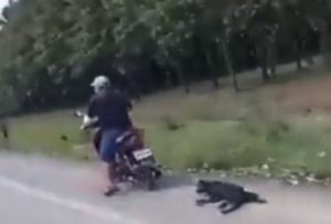 Hombre arrastra a perrito amarrado a su motocicleta en carretera de Tabasco