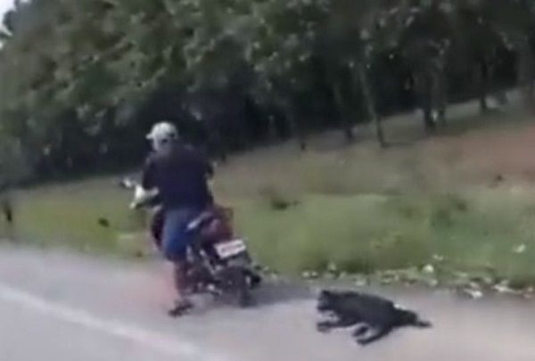 Hombre arrastra a perrito amarrado a su motocicleta en carretera de Tabasco
