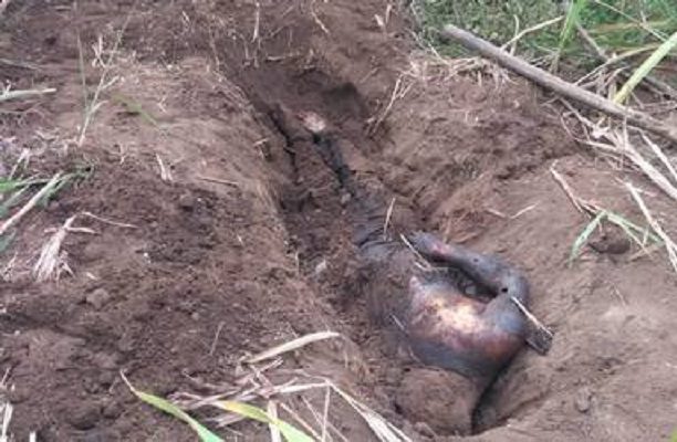 Segob reconoce que en México hay 52 mil cuerpos sin identificar