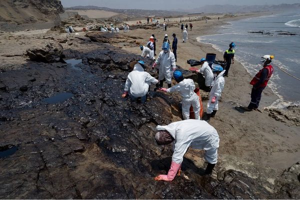 Perú reporta rescate de más de 420 aves afectadas por derrame de petróleo