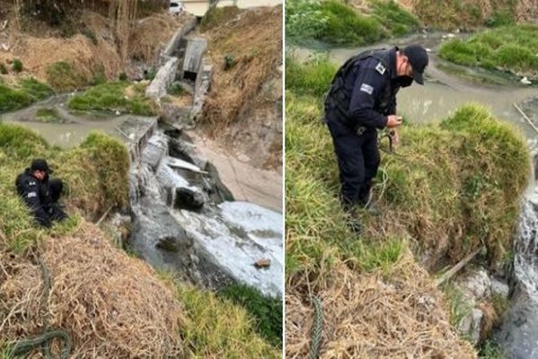 Policía rescata a perrito que cayó en canal de aguas negras, en Edomex