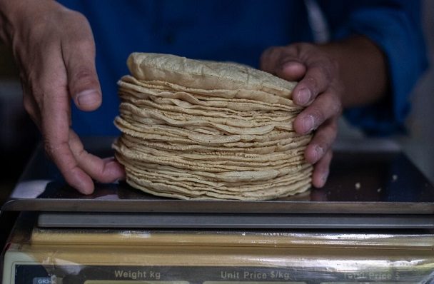 Precio de la tortilla se registra entre 22 pesos por kilo en el Valle de México