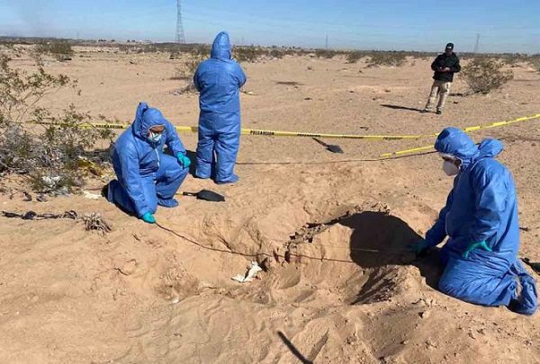 Localizan al menos 11 cuerpos en fosas clandestinas en Sonora
