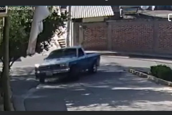 Sin detenerse, conductor arrolla a perrito en Santiago Tulantepec, Hidalgo