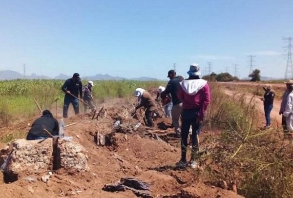 Localizan cinco cuerpos en fosas clandestinas de Cajeme, Sonora