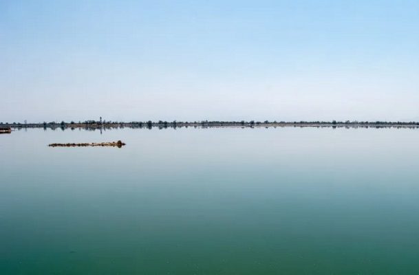 Por decreto, el Lago de Texcoco es desde hoy un Área Natural Protegida