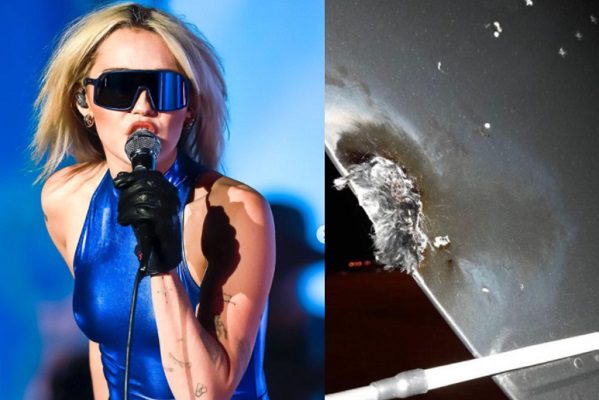 Es impactado por un rayo avión en el que viajaba Miley Cyrus a Paraguay