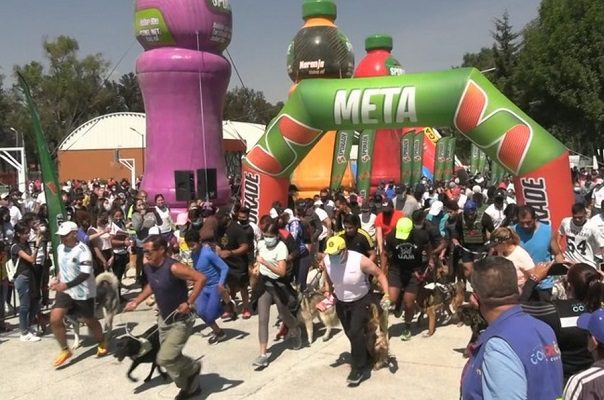 Maratón canino en Coyoacán, CDMX, reúne a más de dos mil participantes