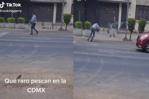 Captan a hombre "pescando" palomas en calles de la CDMX #VIDEO