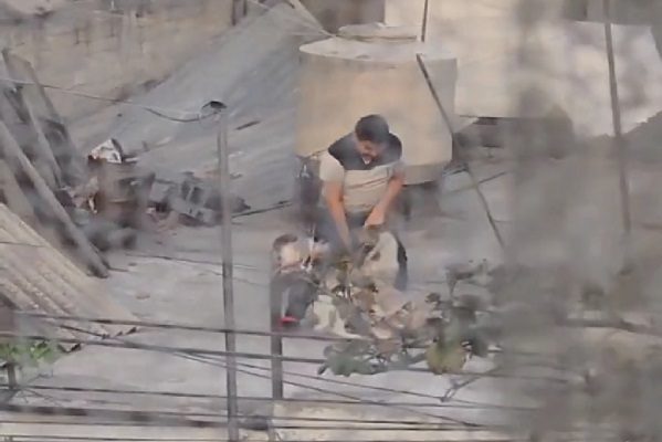 Sujeto sofoca a perrito con una jerga en domicilio de CDMX #VIDEO