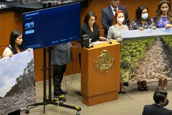 Morena, PT y PES rechazan pedir explicación sobre deforestación por Tren Maya