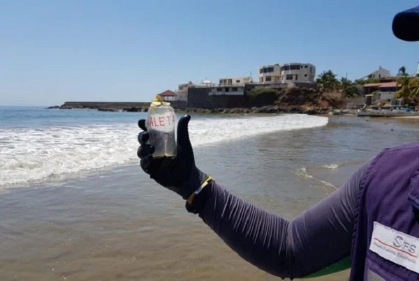 Cofepris alerta por playas que no son aptas para vacacionar esta Semana Santa