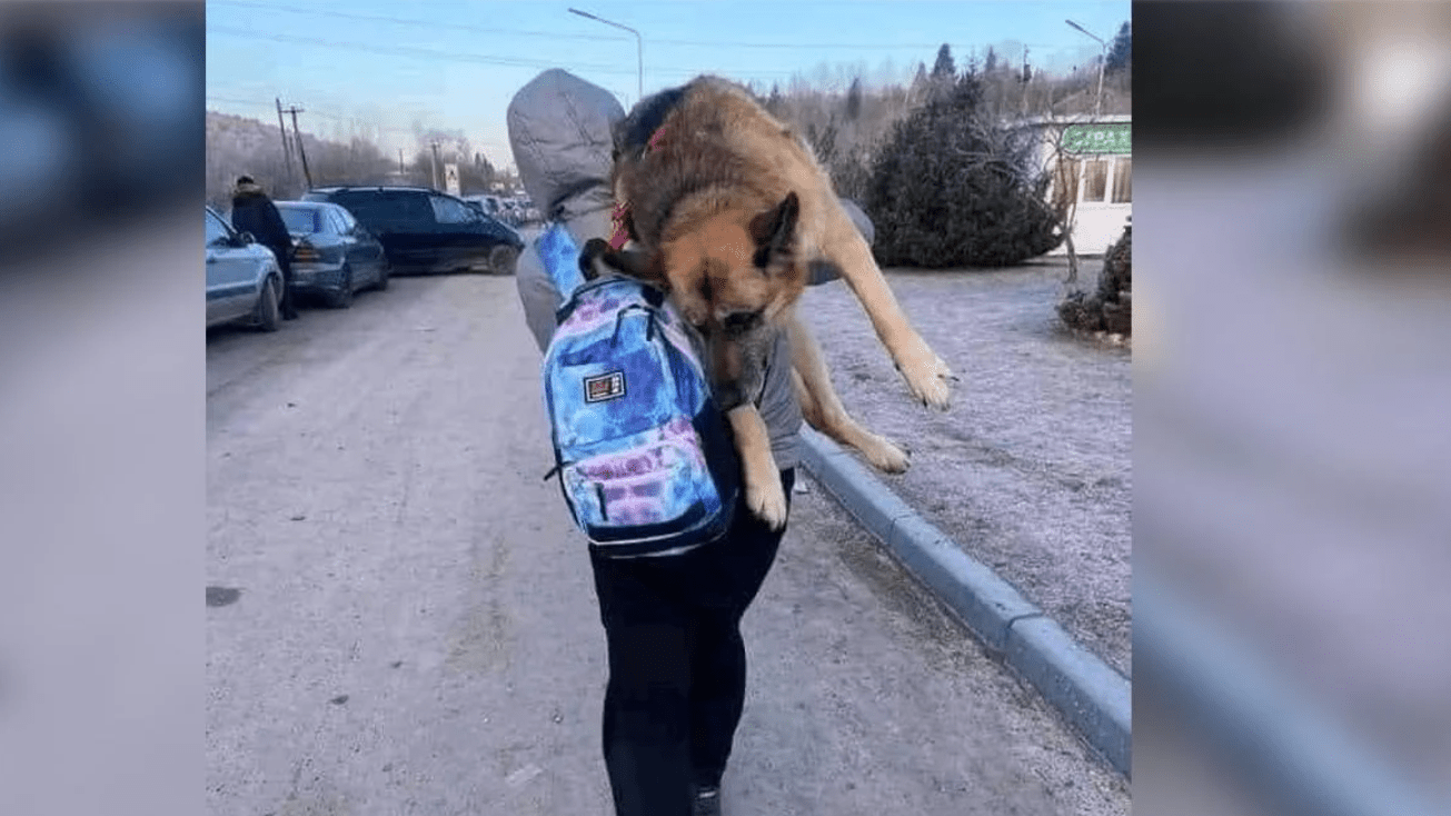 Mujer huye con su perro en brazos por 17 km para huir de la guerra en Ucrania