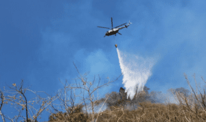 Controlan al 100% incendio en el cerro del Tepozteco; acabó con 105 hectáreas