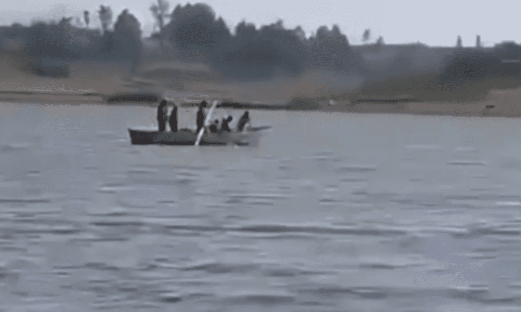 Captan en #VIDEO cacería ilegal de pelícanos en presa de Almoloya de Juárez 