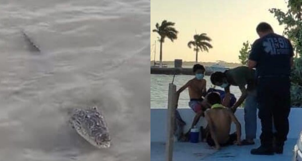 Cocodrilo ataca a niño en el bulevar Bahía de Chetumal