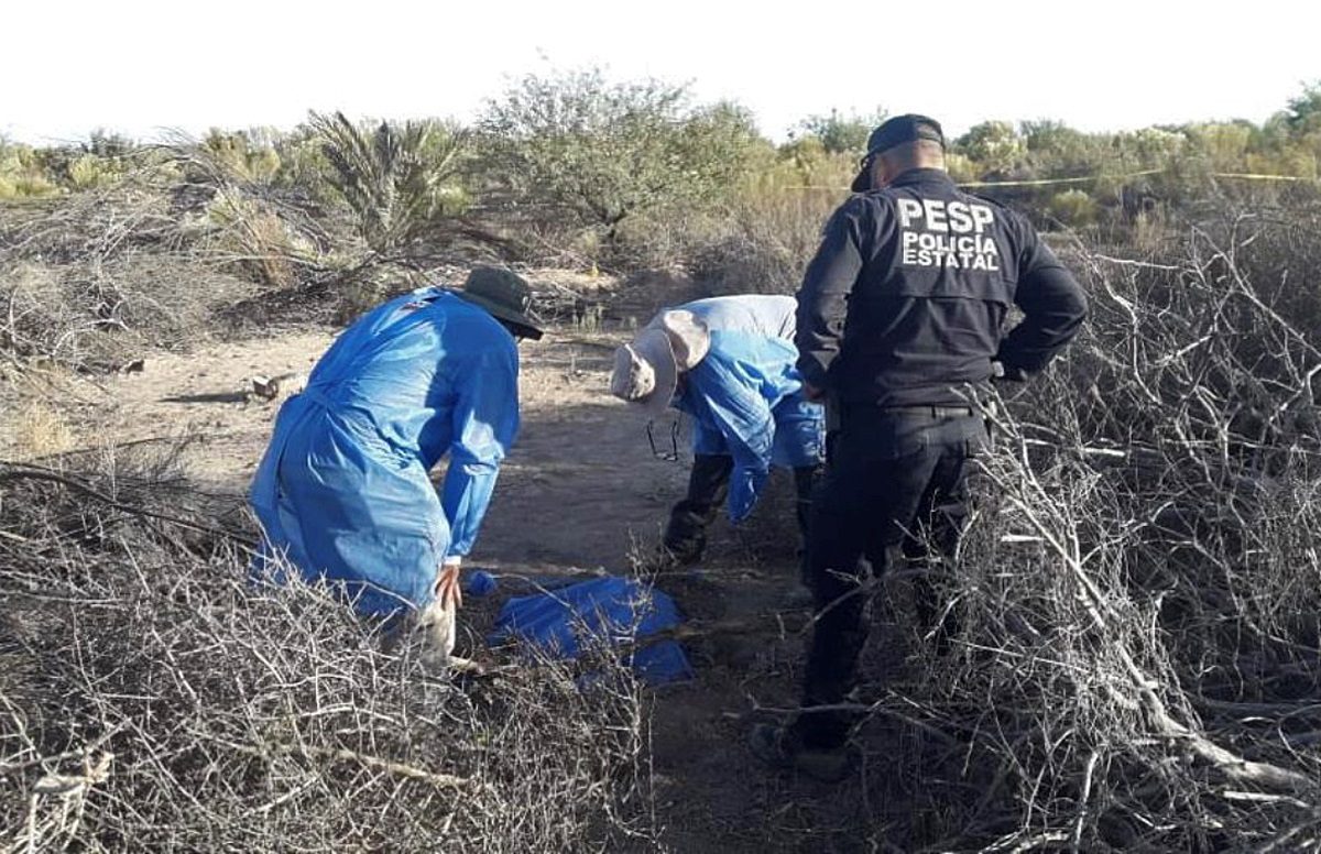 Cuerpos hallados en fosas clandestinas en basurero de Sonora