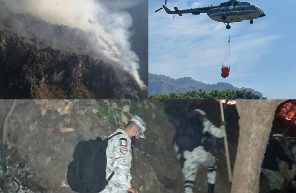 Labores de emergencia tras el incendio en el cerro del Tepozteco