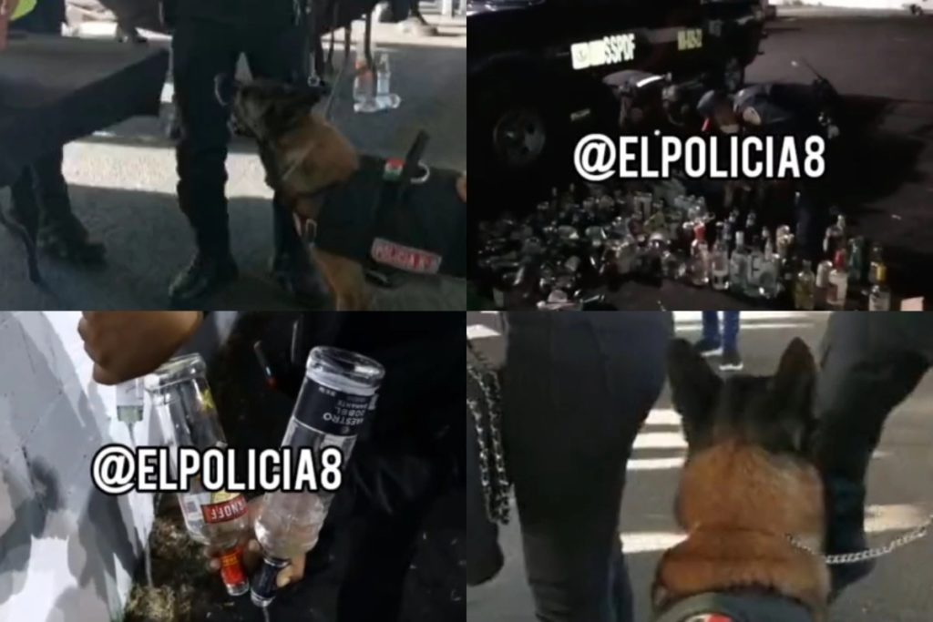 Policías destruyen botellas de alcohol decomisadas en concierto del Grupo Firme