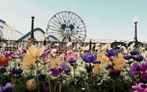 Disneyland cambia su entrada floral de Mickey a Minnie por mes de la mujer
