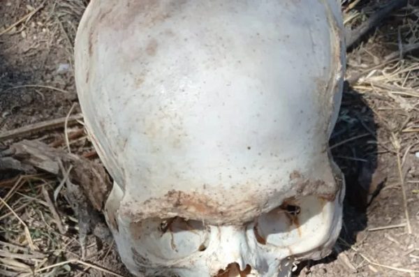 Madres buscadores localizan restos humanos en fosas en Sonora