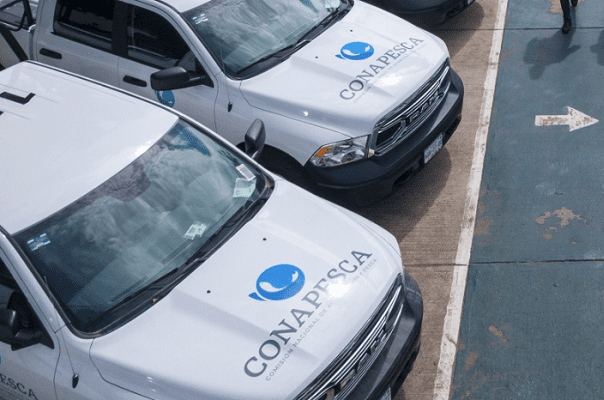 Detienen a alto mando de la Conapesca por actos de corrupción en Mazatlán