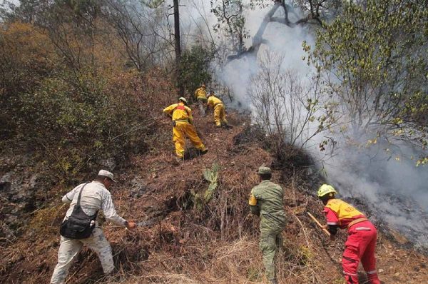 Gobierno de Nuevo León prohíbe carnes asadas y fogatas en parajes de Santiago