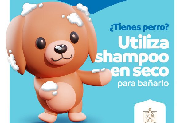 Ante falta de agua, Gobierno de NL pide bañar a perritos con shampoo en seco