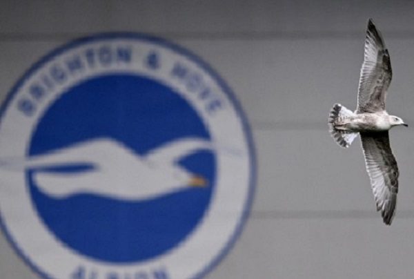 Equipo inglés veta de por vida a aficionado por cánticos homófobos