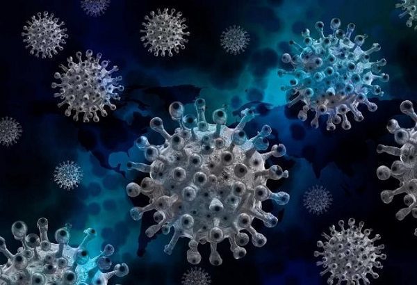 La OMS analiza nuevas subvariantes covid-19 de Ómicron