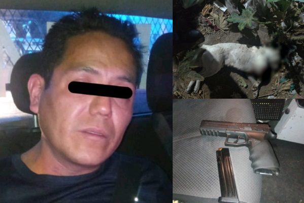 Cae sujeto que disparó y mató a perrito pitbull en Ecatepec